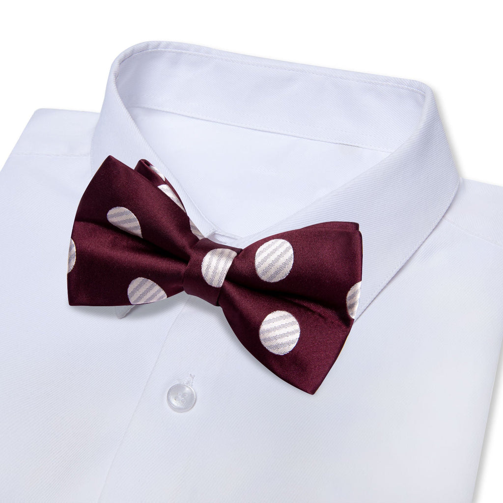 GentCrest Burgundy Polka Dot Bowtie Set - Image 2