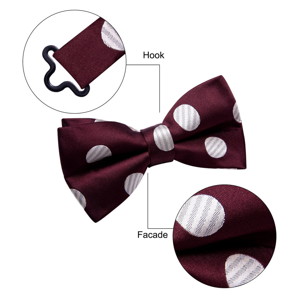 GentCrest Burgundy Polka Dot Bowtie Set - Image 5