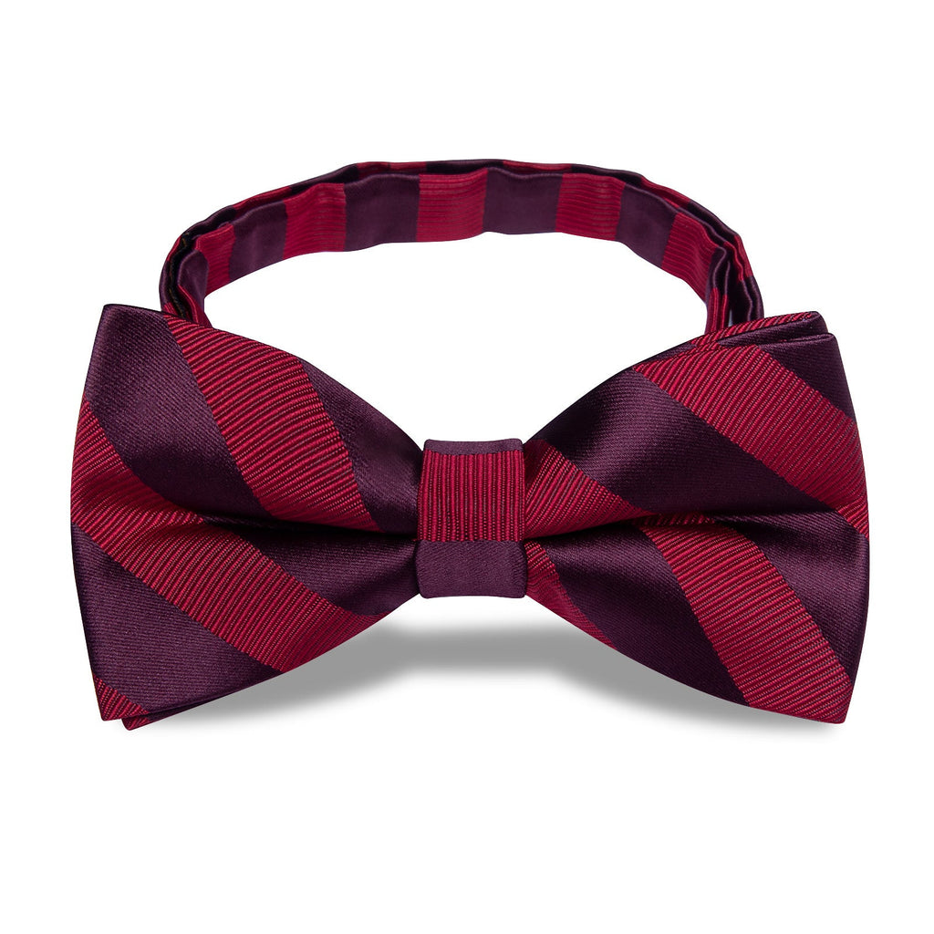 GentCrest Burgundy Striped Bowtie Set - Image 3