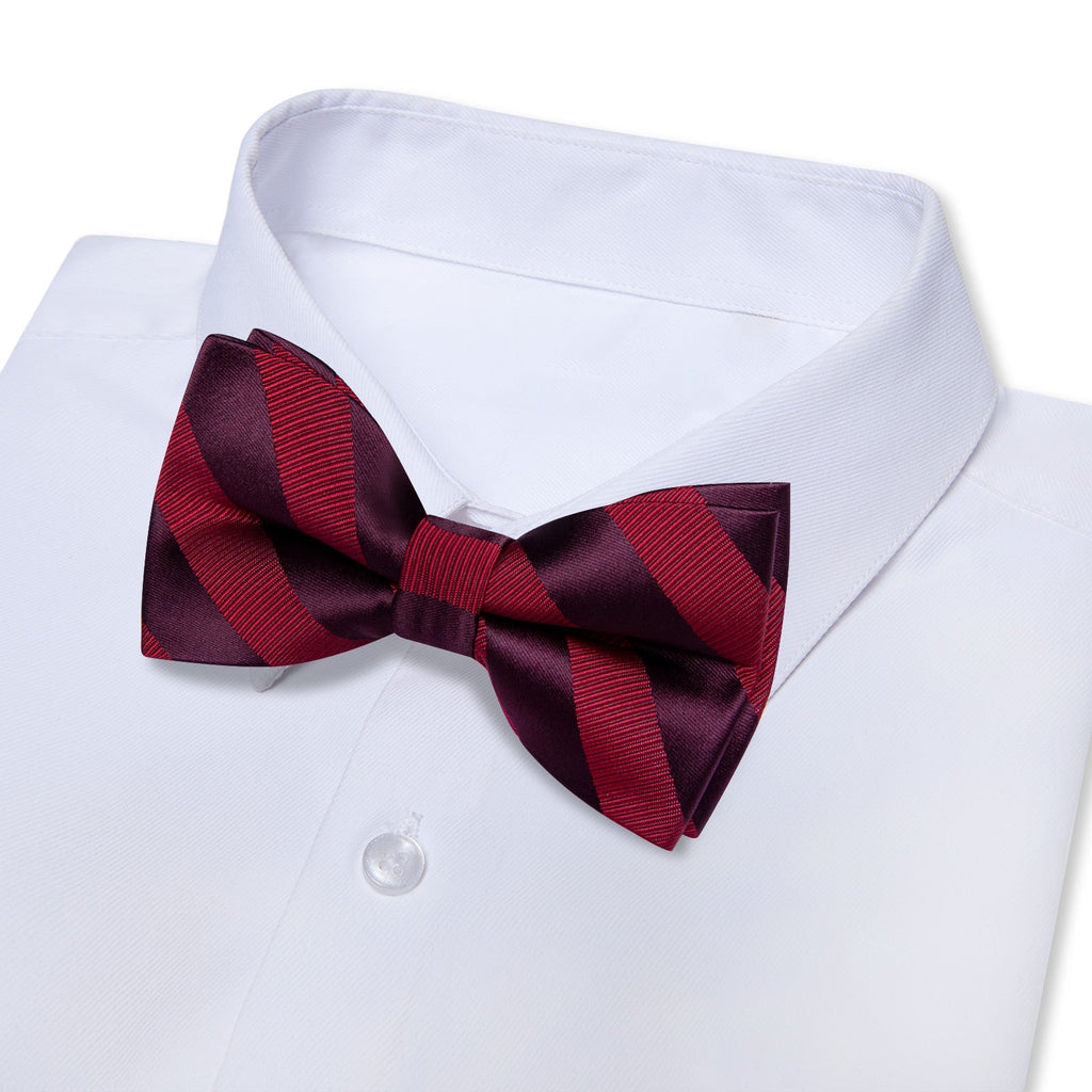 GentCrest Burgundy Striped Bowtie Set - Image 2