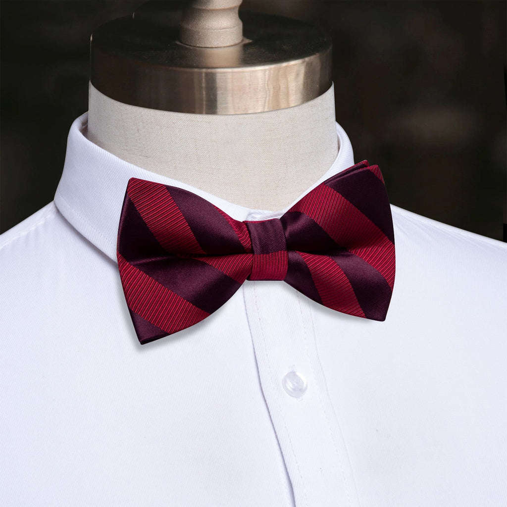 GentCrest Burgundy Striped Bowtie Set - Image 1