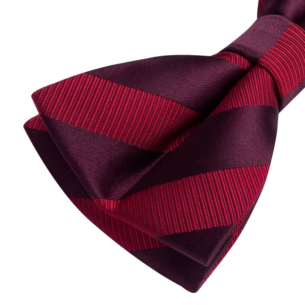 GentCrest Burgundy Striped Bowtie Set - Image 5