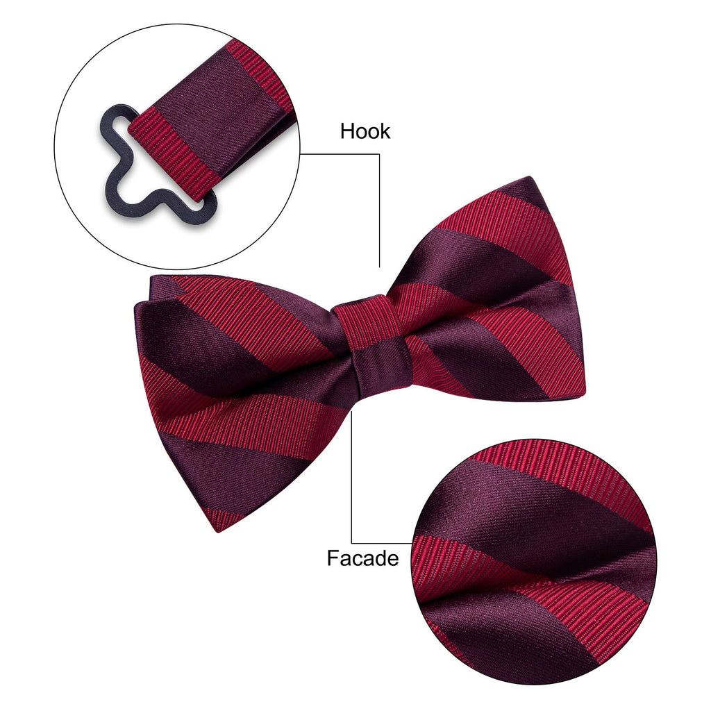 GentCrest Burgundy Striped Bowtie Set - Image 6