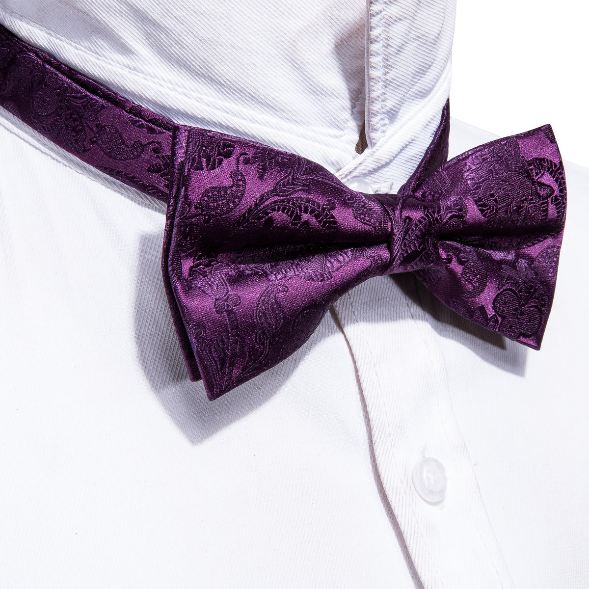 Purple Paisley Bow Tie Set - GentCrest - View 2