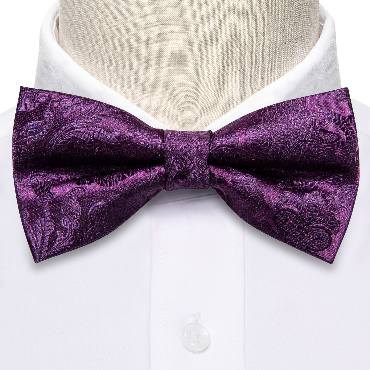 Purple Paisley Bow Tie Set - GentCrest - View 5