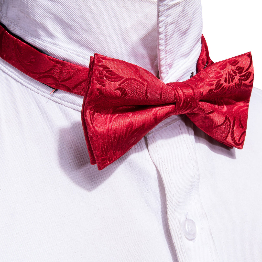 Red Paisley Bow Tie Set - GentCrest - View 3