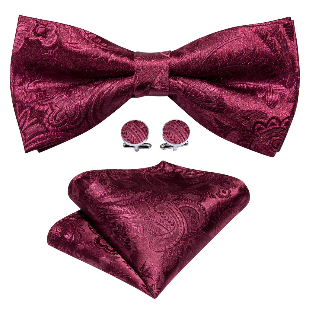 Red Wine Floral Paisley Bow Tie Set - GentCrest - View 3