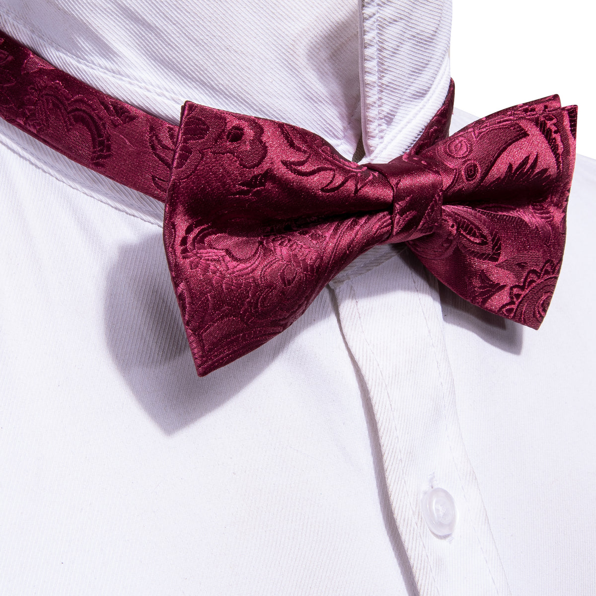 Red Wine Floral Paisley Bow Tie Set - GentCrest - View 2