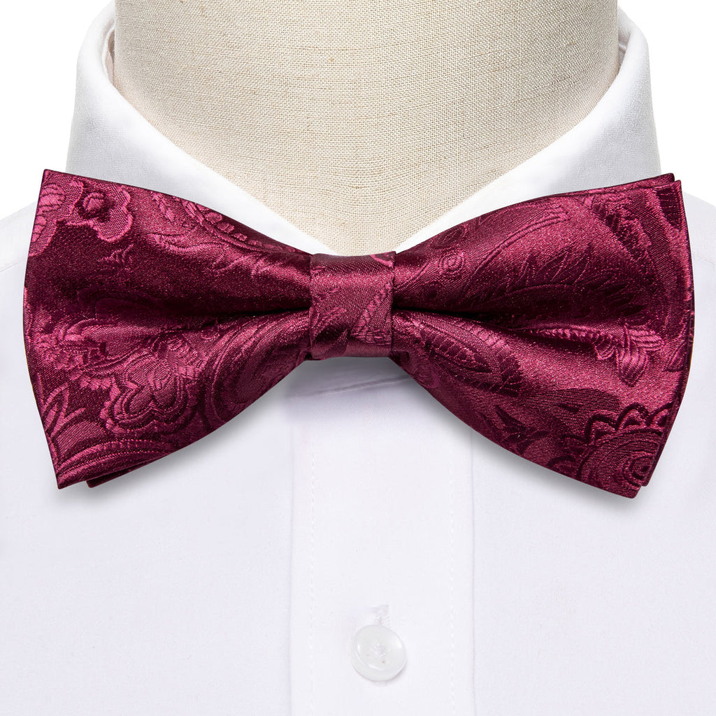 Red Wine Floral Paisley Bow Tie Set - GentCrest - View 5
