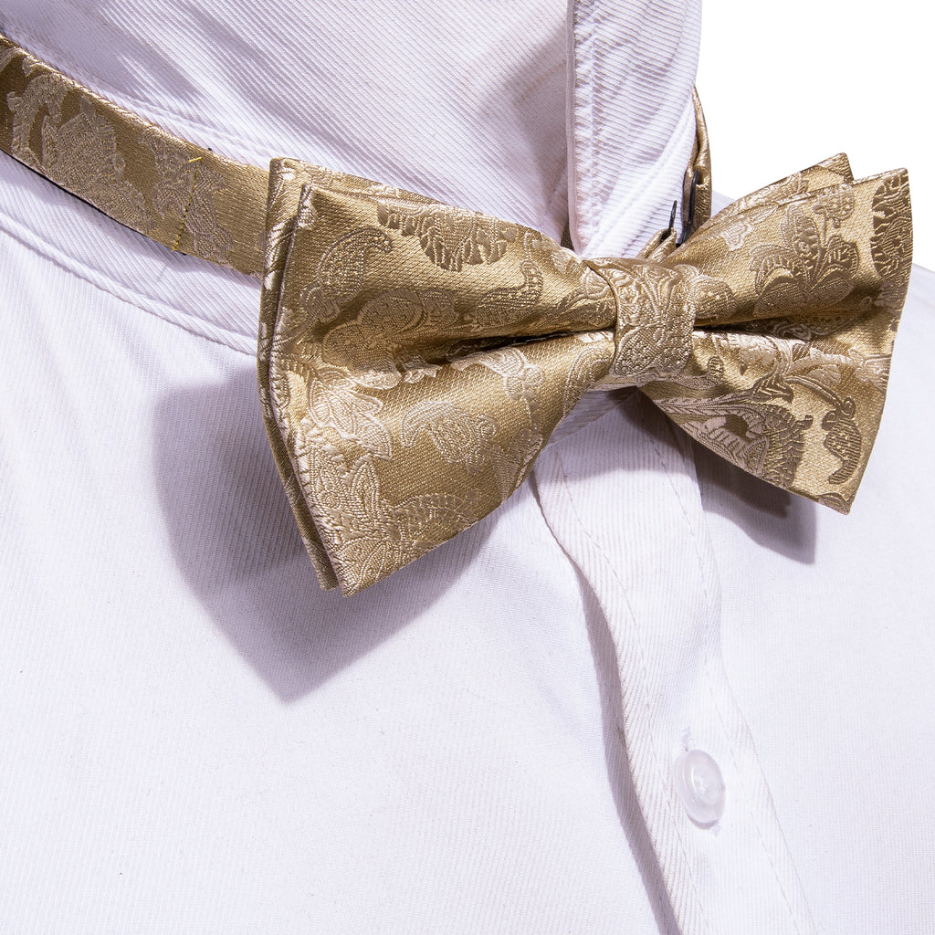 Gold Paisley Bow Tie Set - GentCrest - View 3
