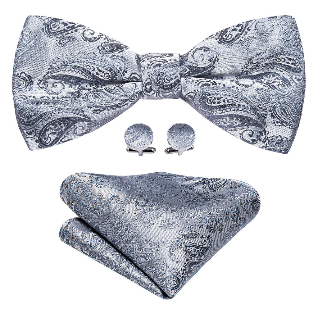 Silver Paisley Bow Tie Set - GentCrest - View 5