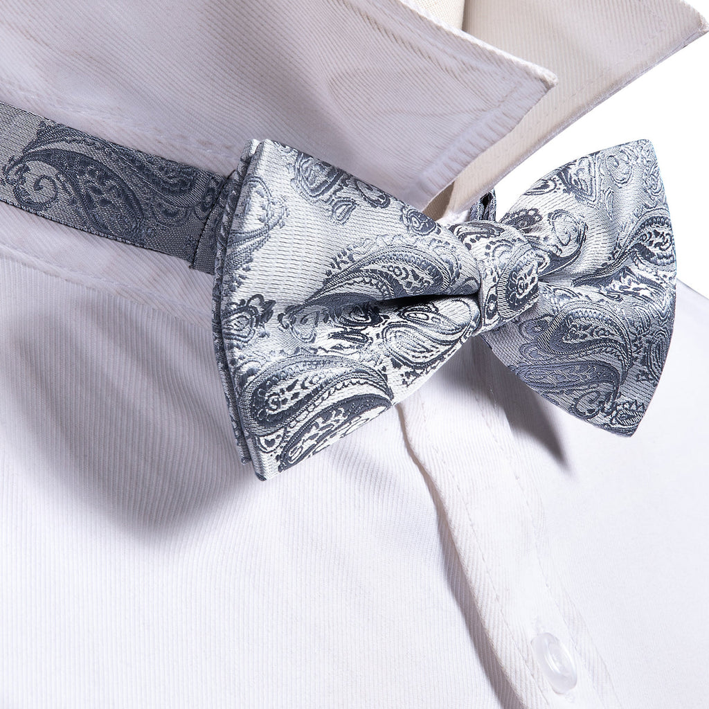 Silver Paisley Bow Tie Set - GentCrest - View 4