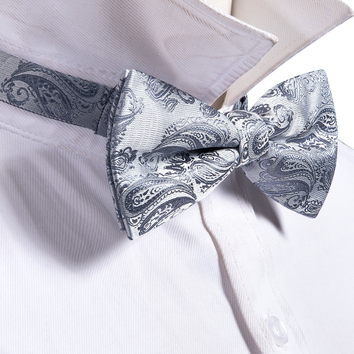 Silver Paisley Bow Tie Set - GentCrest - View 4