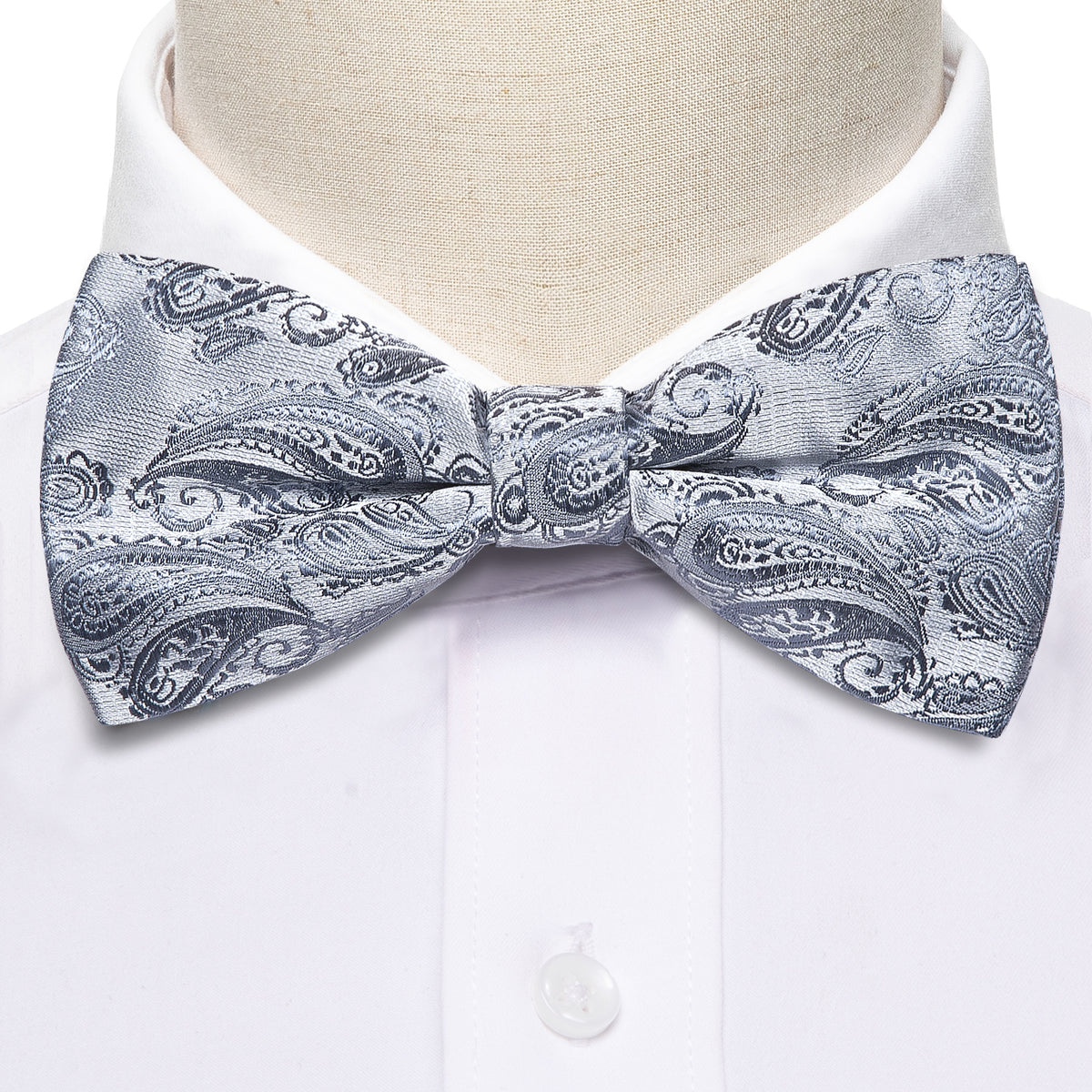 Silver Paisley Bow Tie Set - GentCrest - View 6