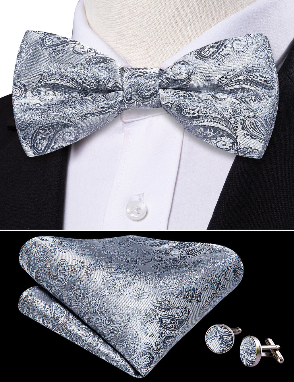 Silver Paisley Bow Tie Set - GentCrest - View 3