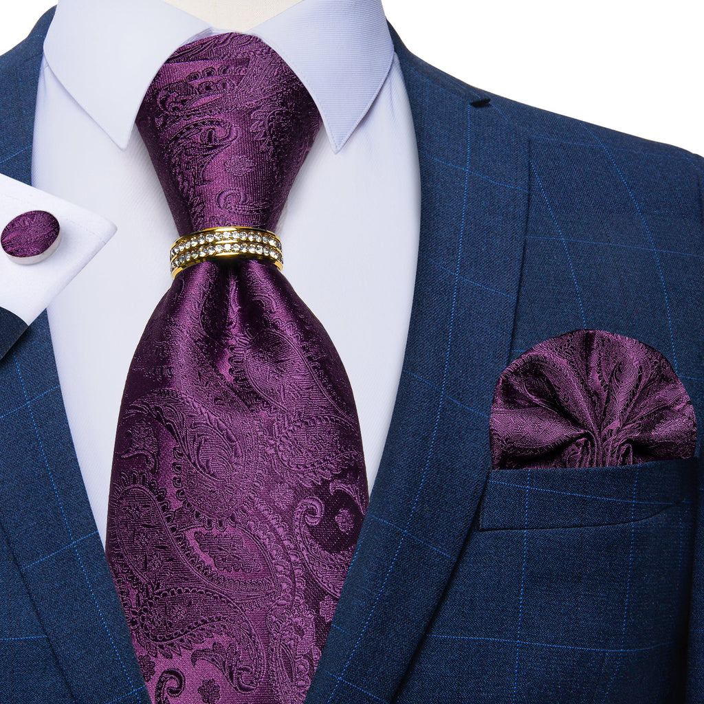 GentCrest Purple Paisley Tie with Rings - Image 4