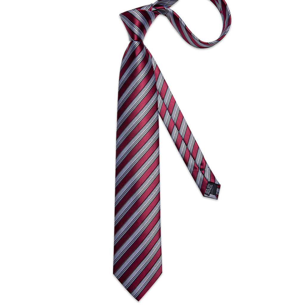 Burgundy & Silver Striped Silk Tie with Black Accents Silk Tie Set - GentCrest - View 4