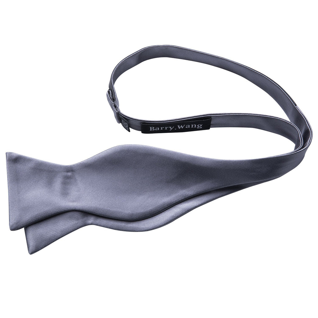 Silver Gray Bow Tie Set - GentCrest - View 3
